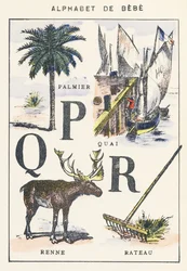 Palm Tree, Dock, Reindeer, Rake