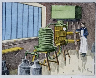 Pasteurization of milk