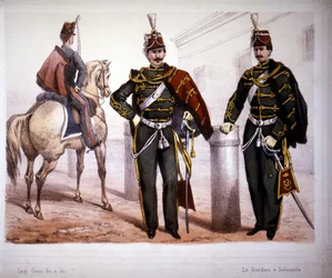 Piacenza Hussars, Costume in 1866