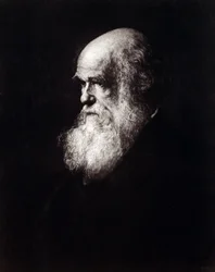 Portrait of Charles Robert Darwin (1809 - 1882)
