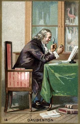 Portrait of Louis Jean Marie Daubenton, dit Daubenton (1716 - 1800), French naturalist. Chromolithography of the 19th century