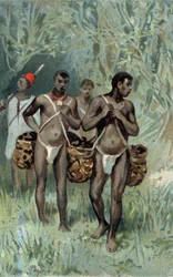 Recollecting rubber in Congo. (chromolithography of the late 19th century)
