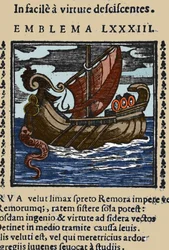 Depiction of a remora that, according to the accounts of Pliny, Saint Ambrose and Rabelais, attacked ships by attaching its tail to a rock with a suction cup and blocking the ship with its mouth. Engraving from a 17th-century work