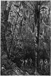 Road development in Central America: The drilling of the Nicaraguan road through a virgin forest (deforestation). Drawing of Lieutenant Olivier, member of Captain Bedford Pim