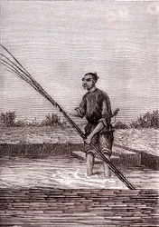 Rusting the Wet Bamboo, Paper Manufacturing in China (3rd Century BC)