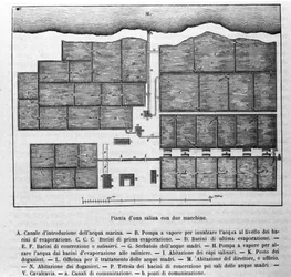 Salt production: plan of a saline with two machines
