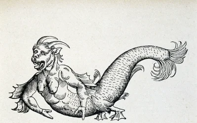 Sea devil, supposedly captured in the Adriatic Sea at the beginning of the 15th century - according to Gesner