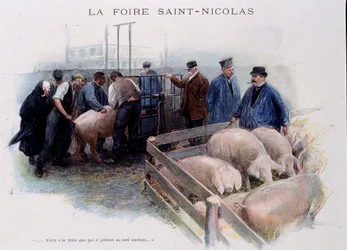 St Nicolas Fair: Pig Market in Brittany