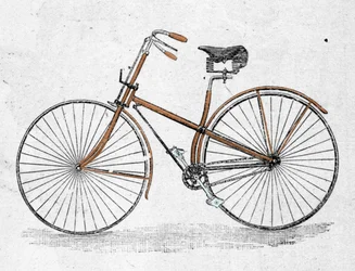 Straight body bicycle model.