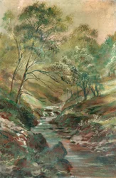 Stream through a Wood