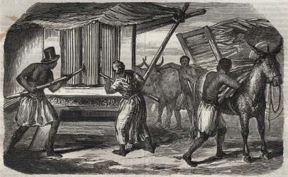 Sugar Manufacturing: A Sugar Cane Mill in a Sugar Factory in the West Indies. Engraving from 1859