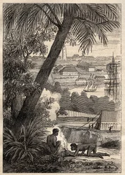 The Expedition to the Southern Lands by Nicolas Baudin: View of Sydney