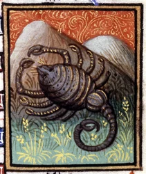 The Scorpio. Miniature of a horoscope. 15th century manuscript. Bibl. Trivulziana, Milan.
