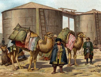 The transport of oil on camels in the Caucasus