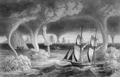 The Trunks Rise from the Sea to the Sky, and Produce Terrible Effects