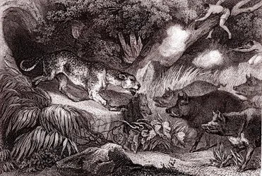 Tiger Hunting in the Amazonian Forest (Engraving)
