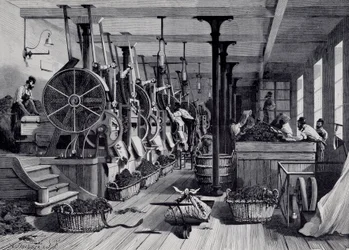 Tobacco factory, laundry room and tobacco rapage. Engraving around 1867.
