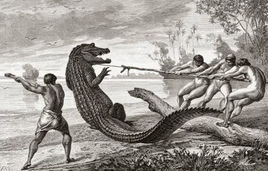 Unknown Image