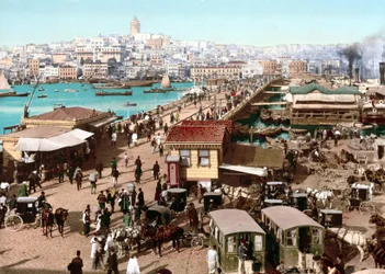View of Constantinople. Photochrome c. 1890