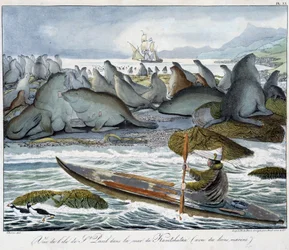 View of the island of St. Paul in the sea of Kamchatka with sea lions.