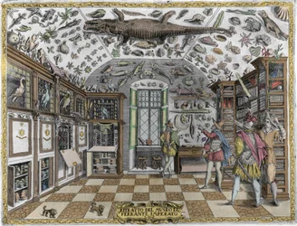 View of the museum (cabinet) of curiosities (encyclopedic museum) of the pharmacist Ferrante Imperato (1550 - 1631). Engraving from 1678. Museum of the Neapolitan apothecary Ferrante Imperato