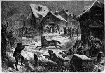 Wolf hunting in the village of Saliers, Bouches du Rhone, 31 December 1860. Engraving in 