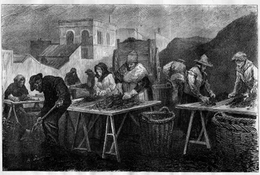 Workers in France: Coke sorters in a gas factory in Paris (engraving in Le Monde Illustré)