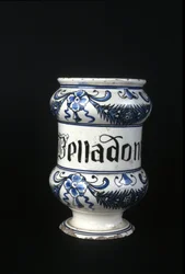 XVI century pharmacy pot containing Belladonna, toxic herb used in pharmacy. Museum of Science and Technology, Milan.