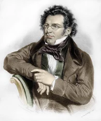 Portrait of Franz Schubert (1797-1828), Austrian Composer