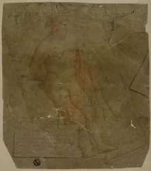 Hercules