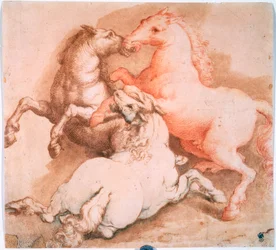 Fighting Horses