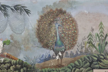 A Peacock, detail of 3743687