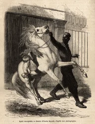 A Senegalese spahi (cavalier) in Saint-Louis. Engraving to illustrate a cruise on the coast of Africa