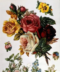 A Bouquet of Roses