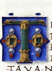 Alphabet: miniaturized letter T