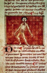 Anatomical Figure: Peel, Chest Open. Miniature from the Manuscript 