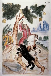 Bear Hunting, from the Book 