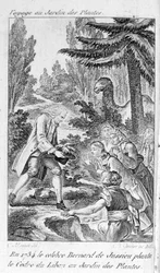 Bernard de Jussieu, French botanist (1699-1777) plants a cedar from Lebanon in the garden of plants in Paris