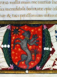 Blazon decorates a unicorn, a star on a red background. (detail)