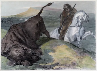 Canadian Huron Buffalo Hunt - in Shyth