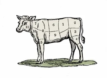 Clamping veal