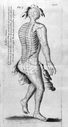 De Acupunctura by W.Ten Rhijne. London 1683. First Western text dealing with Acupuncture.