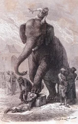 Execution in India: Criminals are Executed: Their Heads are Crushed by an Elephant Led by His Karnac, Engraving 1875