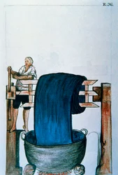 Fabric dye, from the book "Trujillo del Peru" or "Códice Martínez Compañón", by Baltazar Martinez Compañón y Bujanda, bishop of Trujillo (1782-1785)