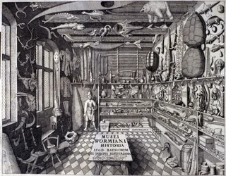 Frontispiece of “Musei Wormiani Historia” showing the interior of the cabinet of curiosities of Ole Worm