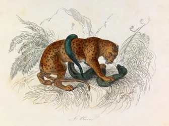 Illustration from the book 