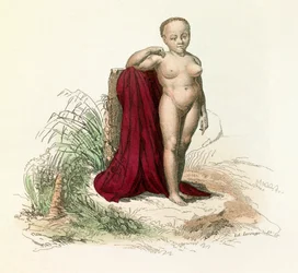 Illustration from the book "Complete Works of Buffon": Natural History of Man: White Black Woman