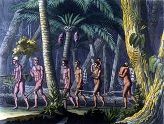 Puris Indians in the Forest