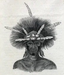 Indigenous people of New Guinea: 