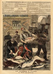 The fish market of Paris. Engraving in 